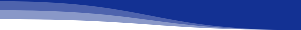 Bottom Banner